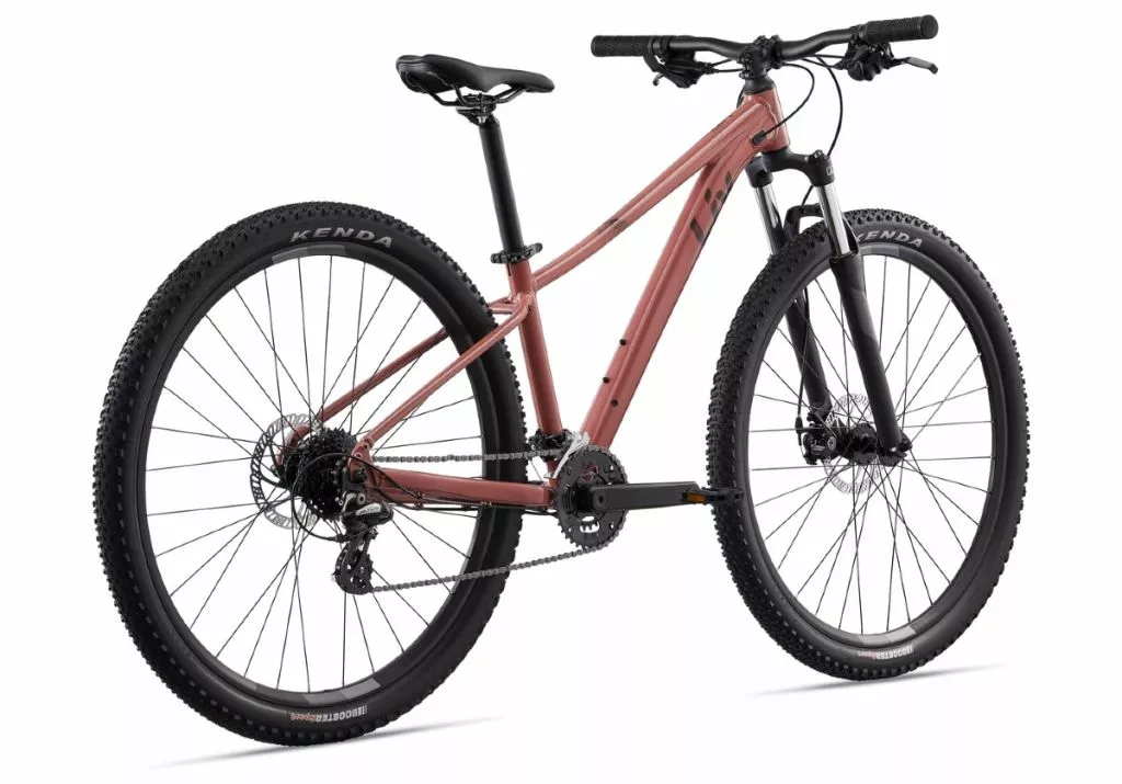 Liv Tempt 4 29 2022 - Terra Roza - Image 2