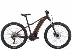 Liv Tempt E+ 1 2022 - Figuier