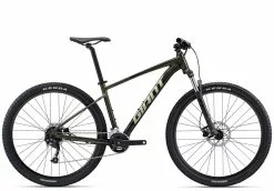 Giant Talon 2 29 2022 - Phantom Green