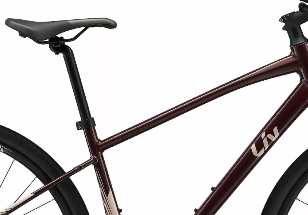 Liv Alight 3 Disc 2022 - Figuier - Image 4