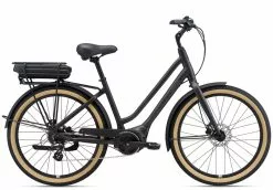 Momentum LaFree E+ (2022) - Anthracite