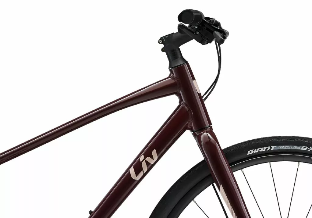 Liv Alight 3 Disc 2022 - Figuier - Image 5